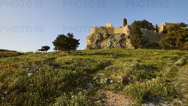 Morning light, St John's fortress, ascent to the Acropolis, Lindos, green meadows, Rhodes,
