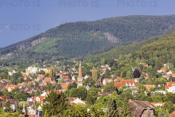 Bad Harzburg, 10.08.2014., Bad Harzburg, Germany, Europe