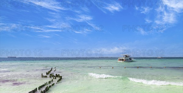Mexico, Cancun, Isla Mujeres, Playa Norte sand beach with palm trees waiting for tourists, Central
