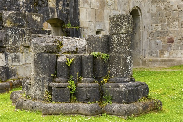 Walkenried Abbey is a former Cistercian abbey in Walkenried, situated on the southern edge of the