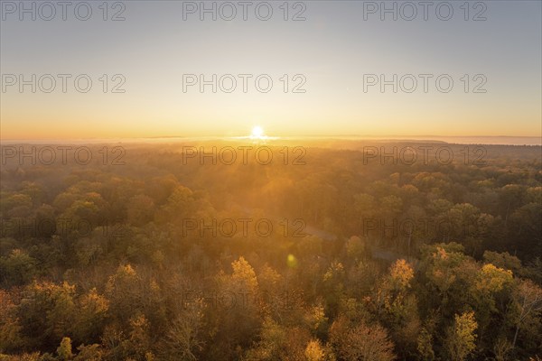 Golden light over misty autumn forests, warm morning atmosphere, Herrenberg, Germany, Europe