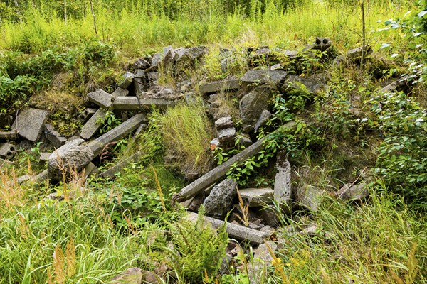 Post-mining landscapes near Altenberg, Altenberg, Altenberg, Saxony, Germany, Europe