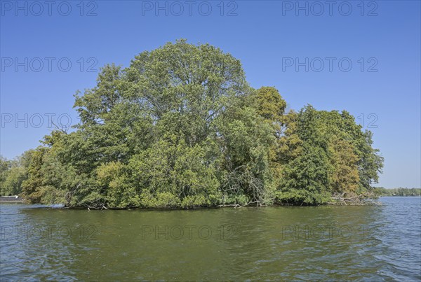 Island Großer Wall, Havel, Hakenfelde, Spandau, Berlin, Germany, Europe
