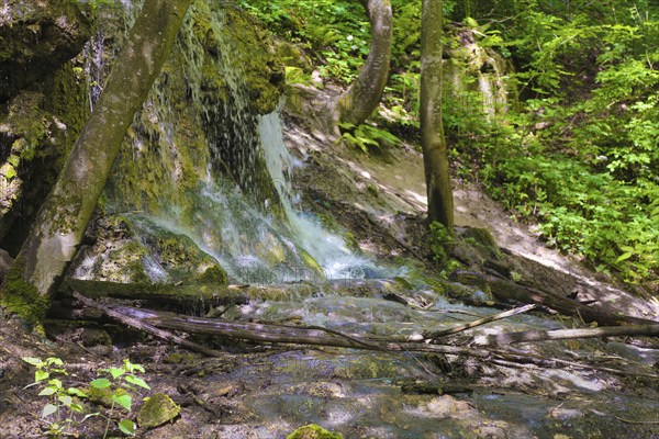 Small waterfall at the Gönningen lakes, calcareous tufa nature trail, idyll, nature, at the foot of