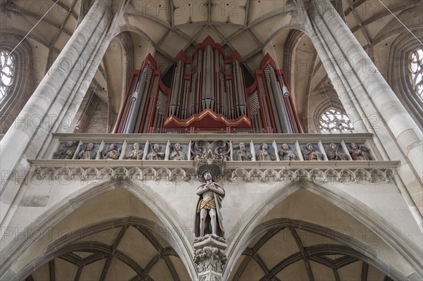 Organ loft, organ built in 1997, late Gothic hall church of St George, Dinkelsbühl, Bavaria,