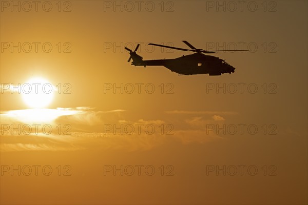 Marine helicopter, evening sun, Wustrow, Darß, Mecklenburg-Vorpommern, Germany, Europe