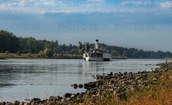 Paddle steamer on the Elbe near Pillnitz, Saxony, Germany, Europe
