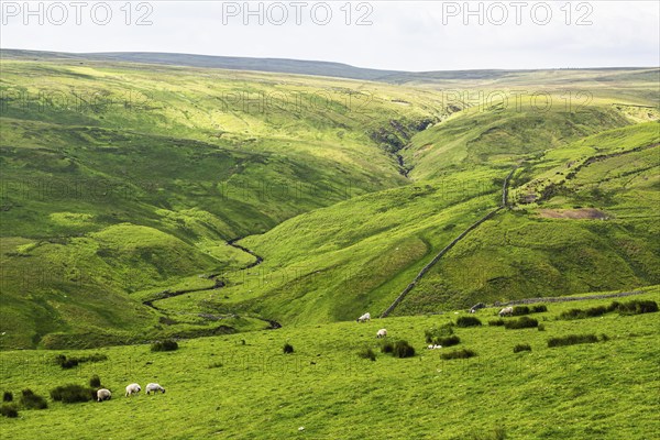 Farms over North Pennines, Cumbria, Durham, Northumberland, North Yorkshire, England, United