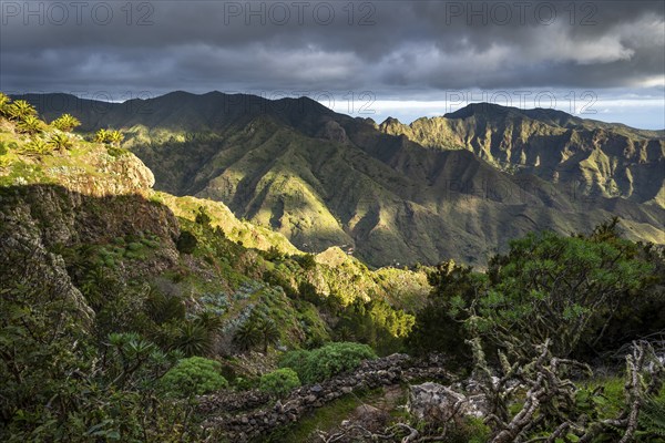 Mountain landscape. View from the Mirador Degollada de Peraza to the north into the Barranco de Las