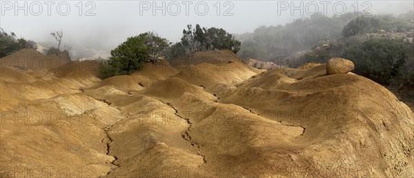 Yellow soil and rocks, erosion, near Arguamul, La Gomera, Canary Islands, Spain, Europe