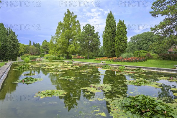 Water garden in the Parco Giardino Sigurtà, Valeggio sul Mincio, Province of Verona, Italy, Europe