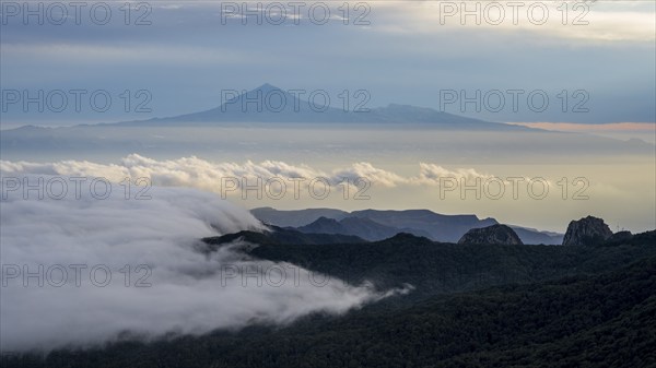 Sunrise, view of Mount Teide from Alto de Garajonay, Tenerife, Garajonay National Park, La Gomera,
