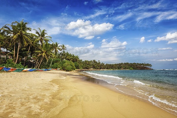 Tropical vacation holiday background, paradise idyllic beach. Mirissa, Sri lanka