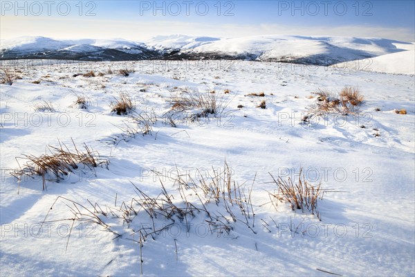 Lecht, Cairngorms NP, Scotland, Great Britain