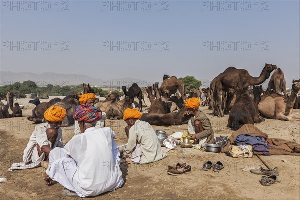 PUSHKAR, INDIA, NOVEMBER 20, 2012: Indian men and camels at Pushkar camel fair (Pushkar Mela),