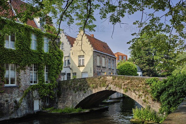 Bruges typical Belgian cityscape Europe tourism concept, canal and old houses and bridge. Brugge,