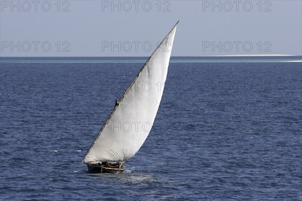 A dhow sailing boat on the Indian Ocean, Zanzibar, Tanzania, East Africa, Africa