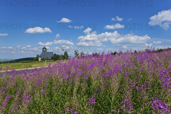 Zinnwald-Georgenfeld is the highest easternmost winter sports centre in the Ore Mountains and,