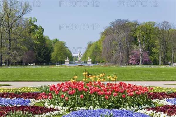 Large garden in Dresden
