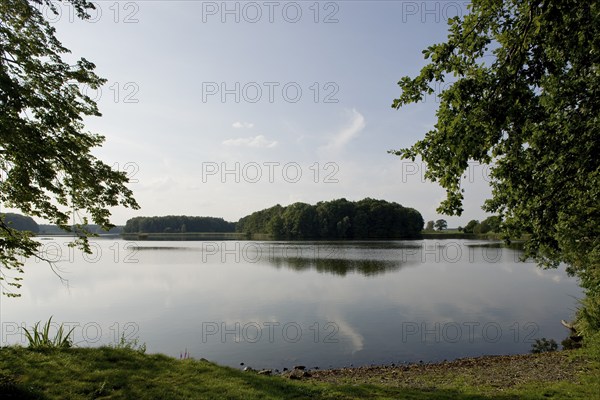 Women's pond