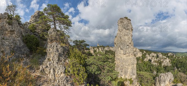Rocks with strange shapes in the chaos of Montpellier-le-Vieux in the cevennes national park.