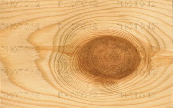 Wood structure, birch wood with stone finish
