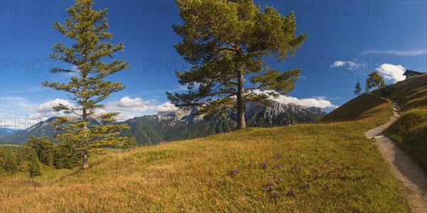 Panorama from Hoher Kranzberg, 1397m onto the cloudy Karwendel Mountains, Werdenfelser Land, Upper