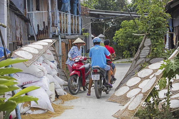 Sheets of edible rice paper, used for making fresh or fried spring rolls in Vietnamese cuisine