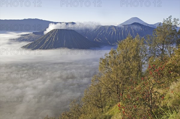 Sunrise over Mount Bromo, Gunung Bromo, active volcano and part of the Tengger massif, East Java,