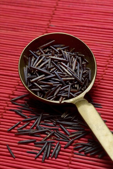 Rice, black wild rice in ladle, Canada, North America