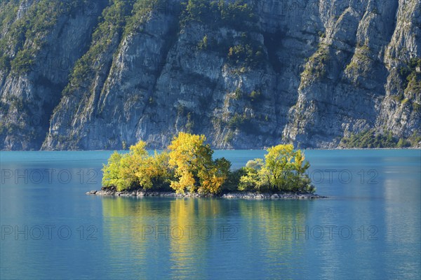 Small chive island in the turquoise waters of Lake Walen, Canton St. Gallen, Switzerland, Europe