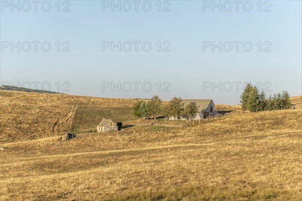 Landscape in Aubrac in summer, inspiring, infinite, enchanting, magical, peaceful, bewitching.