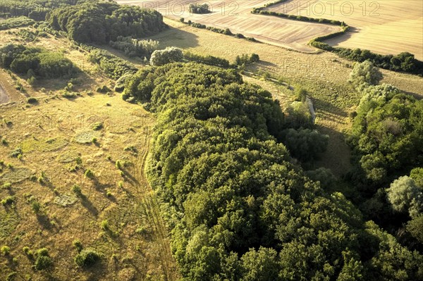 Aerial photograph of the green belt on the border between Schleswig-Holstein and
