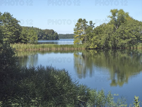 Landscape at the Schaalsee at the peninsula Kampenwerder in the UNESCO Biosphere Reserve Schaalsee,