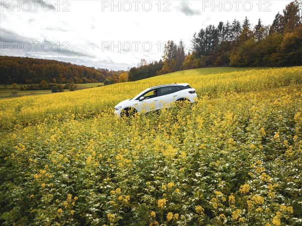 Volkswagen ID4 electric car in a rape field, Black Forest, Gechingen, Germany, Europe