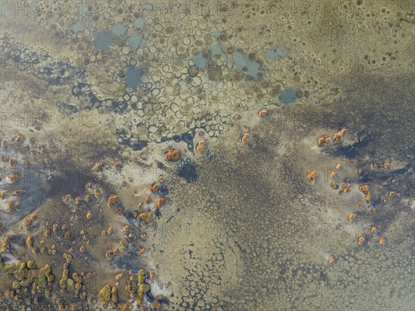 Conspicuous patterns at the bottom of the shallow lagoon Salinas de Cerrillos, aerial view, drone