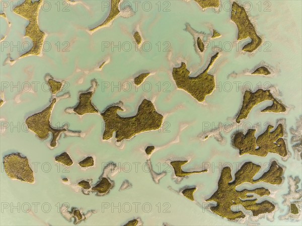 Patches of land appear while the tide is going out, in the marshland of the Bahía de Cádiz, aerial