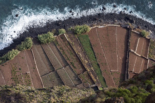 View from the glass-bottom skywalk, Cabo Girao, of terraced fields by the sea, Camara de Lobos,