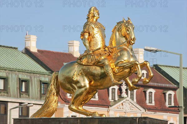 Golden Rider