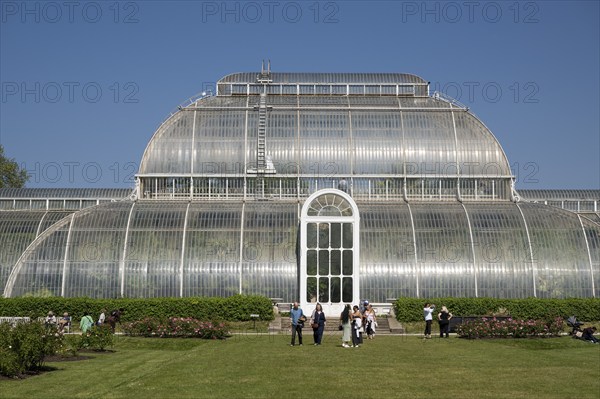 Palm House, oldest Victorian greenhouse in the world, Royal Botanic Gardens, Kew, London, England,