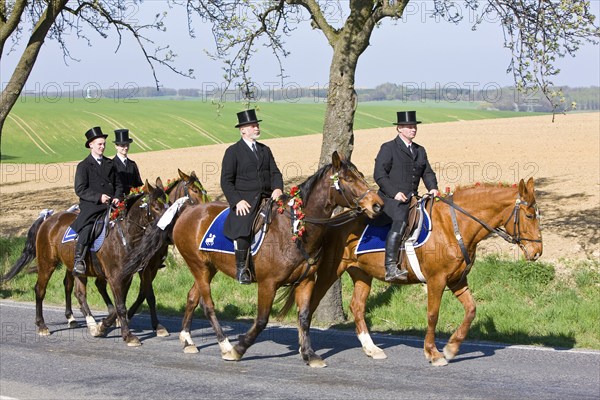 Every year at Easter there are about 5 processions in Lusatia, each with about 200 riders. The
