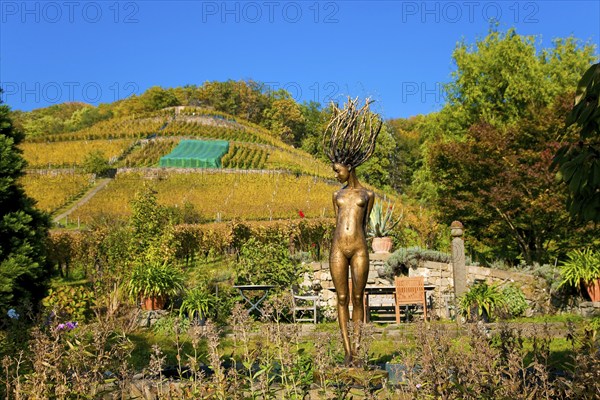 Klaus Zimmerling Winery