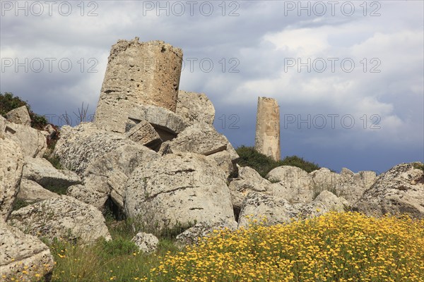 Selinunte, column parts, debris from a temple in the archaeological site of Selinunte, Trapani