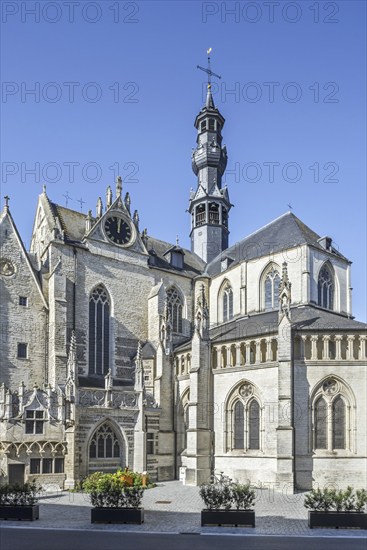 13th, 16th century Gothic medieval Saint Leonard's Church, Sint-Leonarduskerk in the city