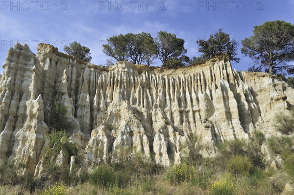 Strange rock formations created by water erosion at the Orgues d'Ille-sur-Têt in the