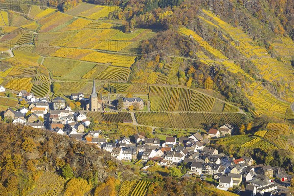 Vineyards in autumn, Mayschoß with parish church, red wine growing region Ahrtal, red wine of the