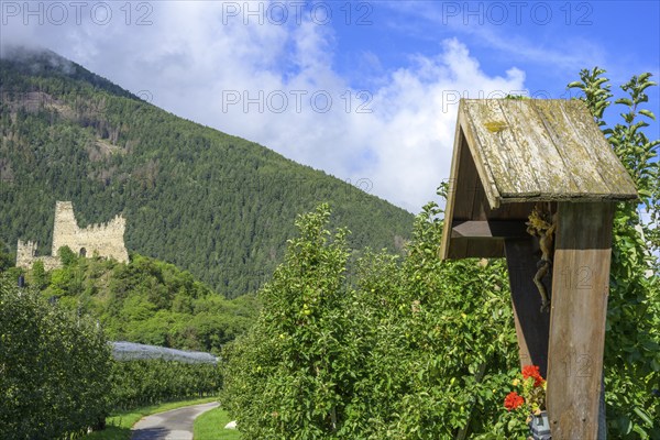 Untermontani castle ruins and wayside cross, Latsch, South Tyrol, Italy, Europe