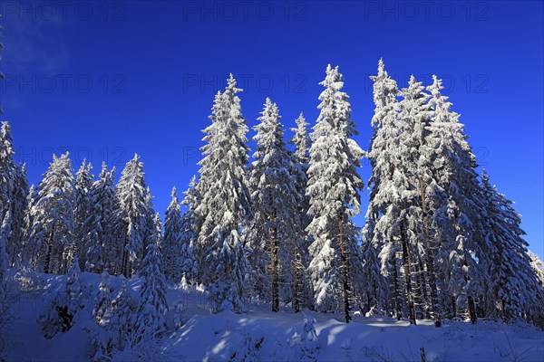 Winter landscape in the Fichtelgebirge, Bayreuth district, Upper Franconia, Bavaria, Germany,