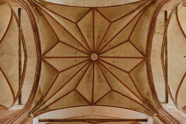 Star vault above the crossing of the Georgenkirche, Old Town Hanseatic City of Wismar,