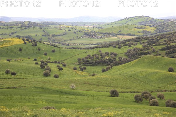 Landscape near Noto in the province of Syracuse, Sicily, Italy, Europe